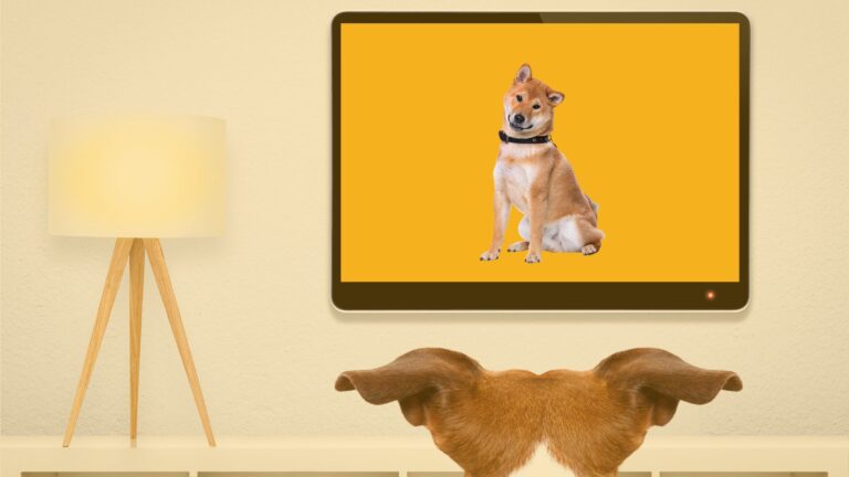 A dog watching a Foxdog on television.
